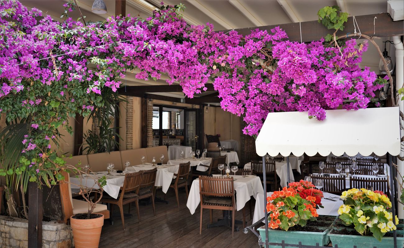 restoran